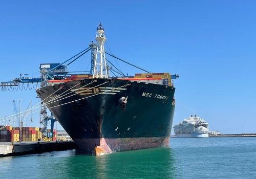 Due giganti del mare nel porto di Civitavecchia: la portacontainer MSC Tomoko attracca di fronte alla Wonder of the Seas